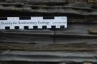 Tullig Formation rythmic of silts and mud with few sands. Depositional facies are interpreted (Andy Pulham personal comunication & Martinsen et al., 2008) to be distal delta plumes. Note graded character of rhythmic couplets suggesting downslope transport and gravity settling.